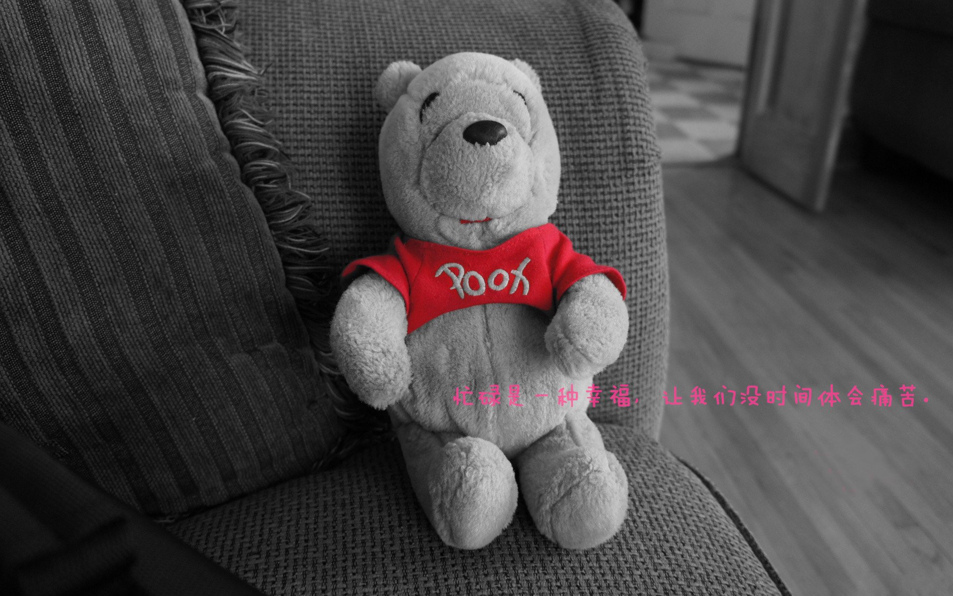 开云kaiyun-_水上飞索：从空中俯冲的极速快感_，水上飞是什么原理