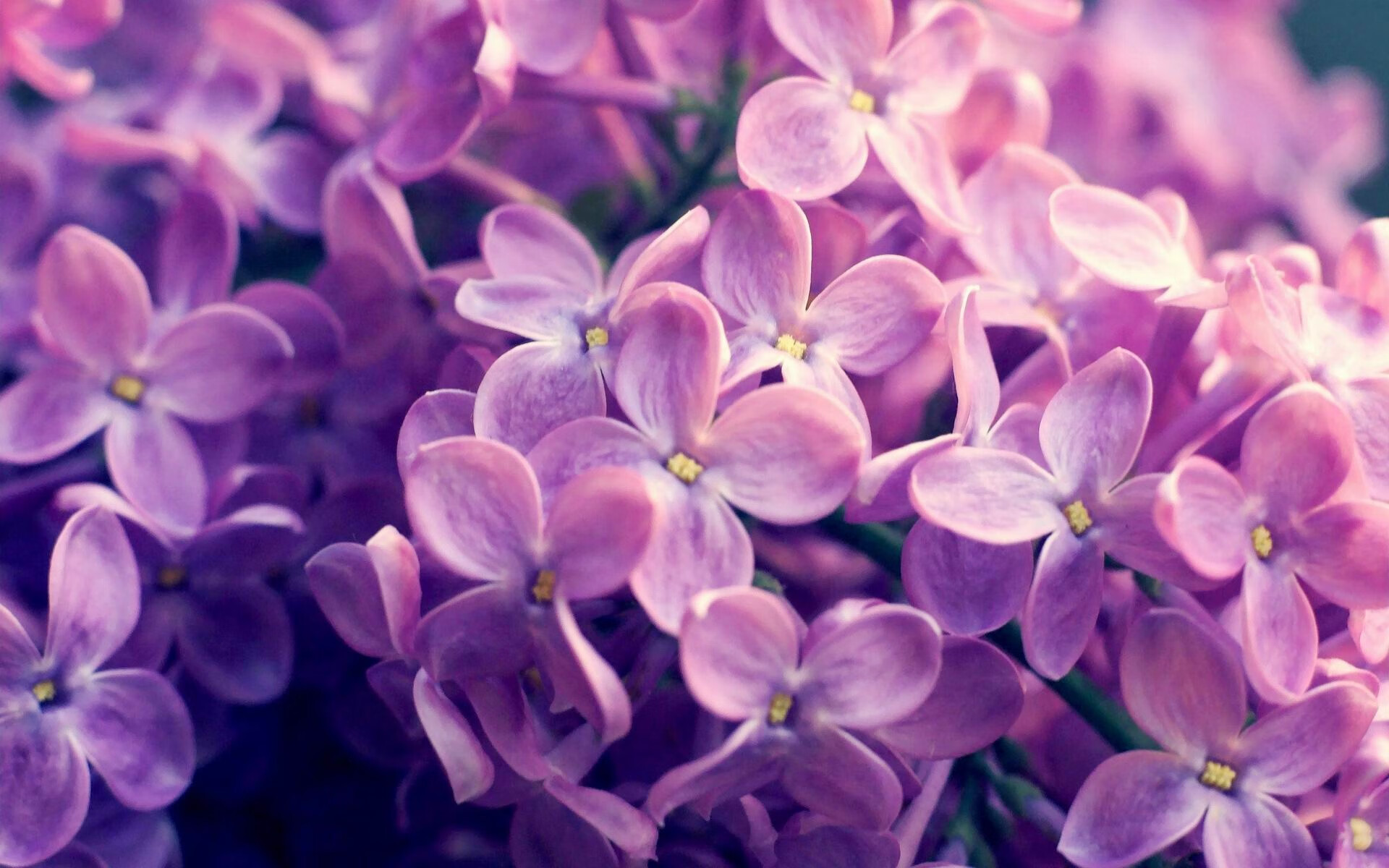 “中超联赛转播创新:虚拟实境带来沉浸式体验”,中超vr技术