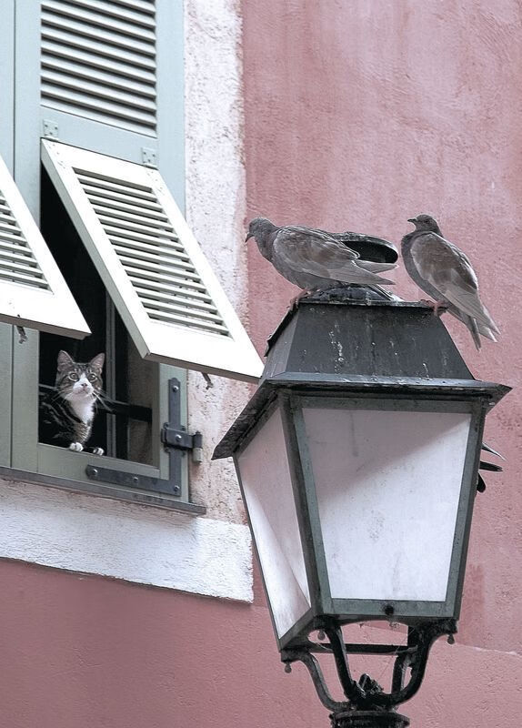 “未来科技:碳中和赛车点燃速度新革命”,碳中和万亿赛道