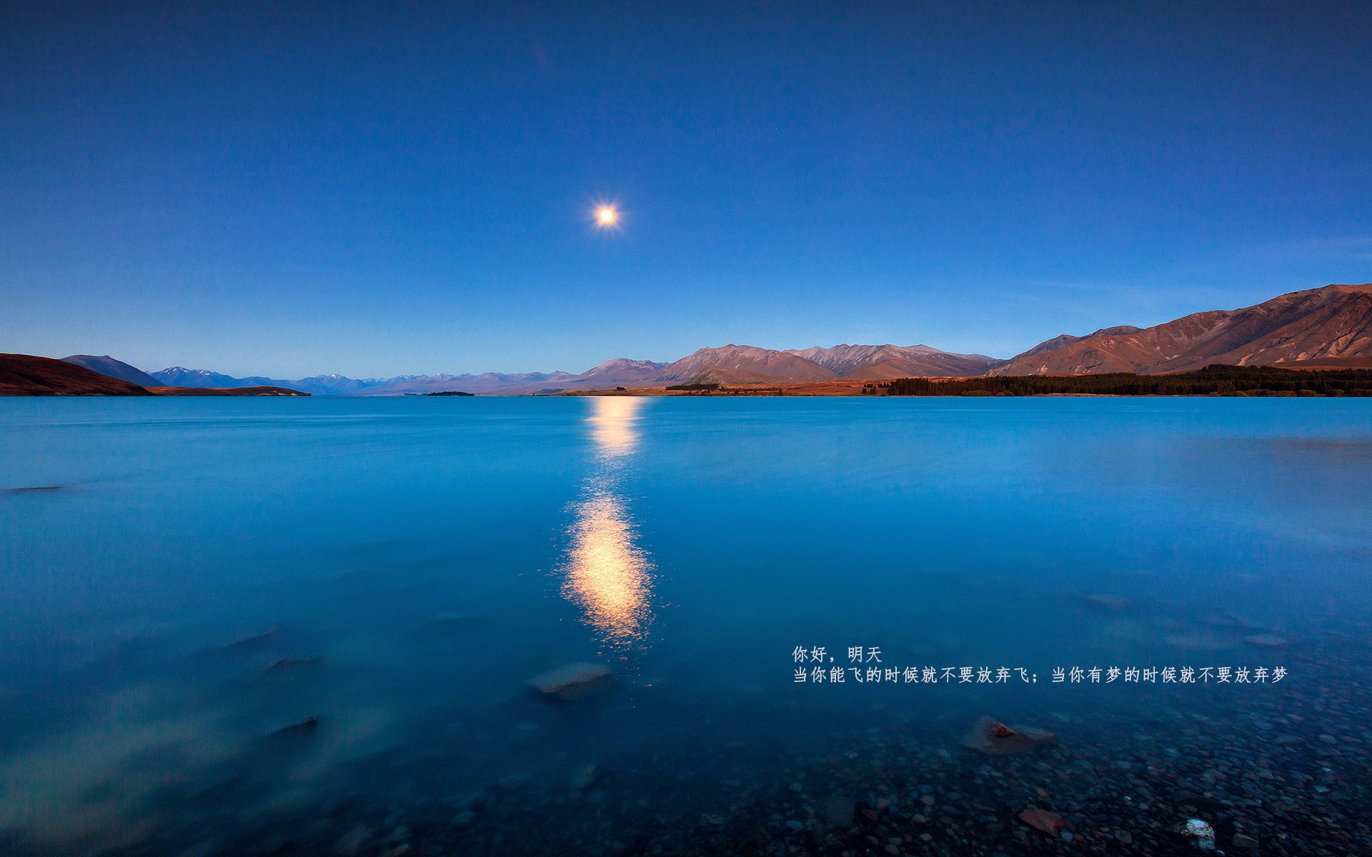 “灰熊队最后一秒绝杀,全场沸腾”,灰熊队2021