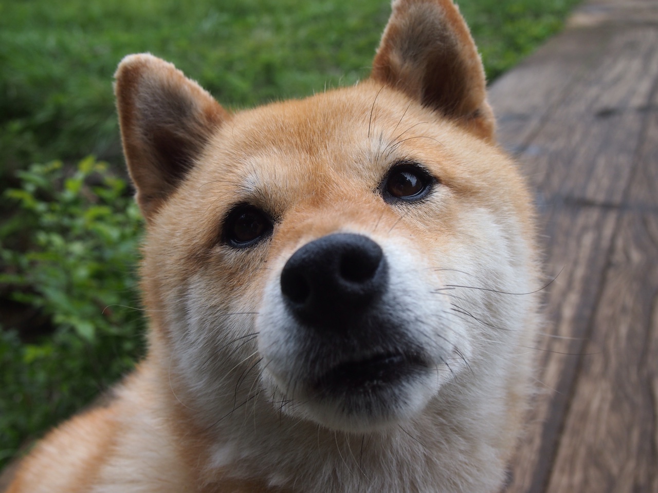 开云网页版-《校园电竞联赛火热进行：青春竞技再扬帆》，校园电竞比赛的宣传语