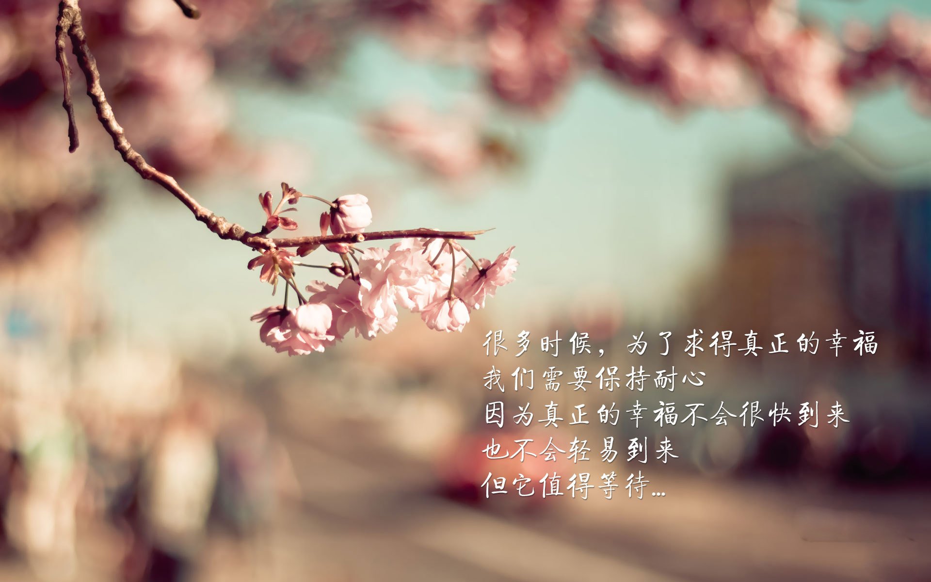 全国青少年“智慧篮科技创新奖”在重庆隆重颁发,推动青训科技化发展