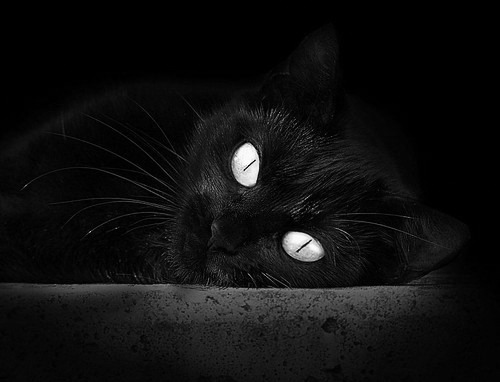 全国多地开展“篮球进校园”系列活动，推动青少年健身热潮，篮球进校园政策