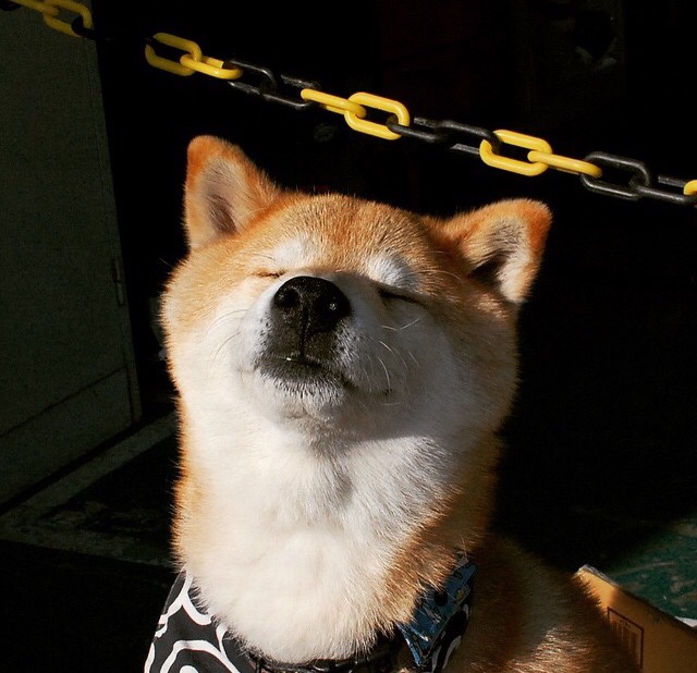 全国青少年“篮球摄影”微电影征集盛大开启，展现青春风采，篮球摄影比赛作品简介