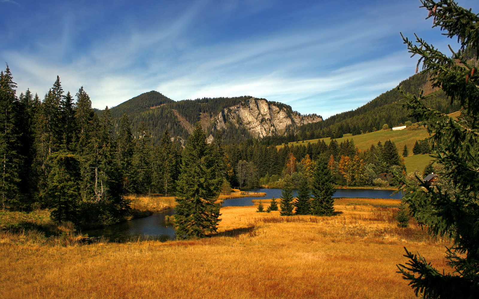 城市摩托车特技表演,极速飞跃引爆现场氛围,摩托车特技表演赛