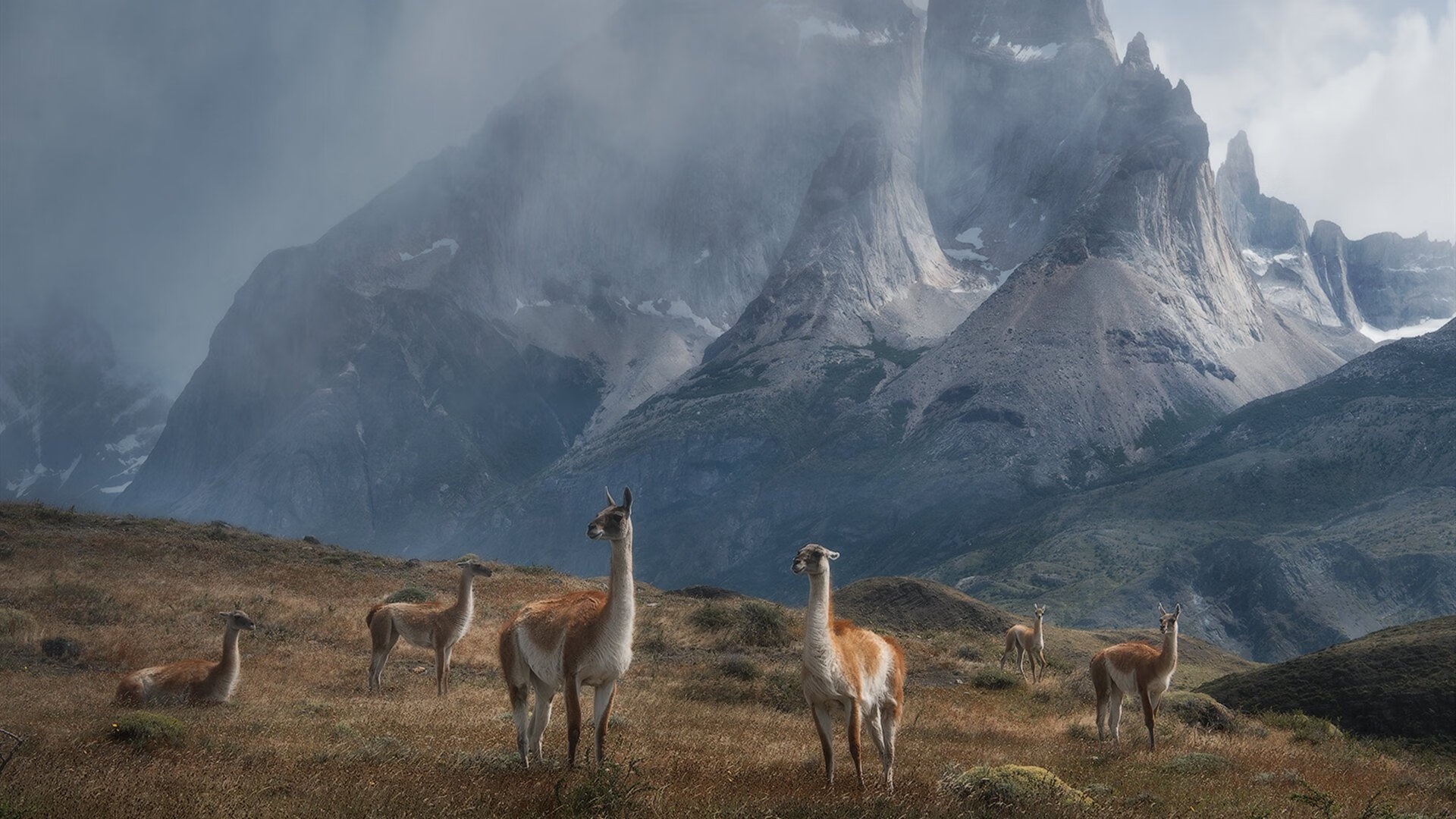 Kaiyun官方登录入口-穿越火线 职业联赛持续升温，cf职业联赛赛制
