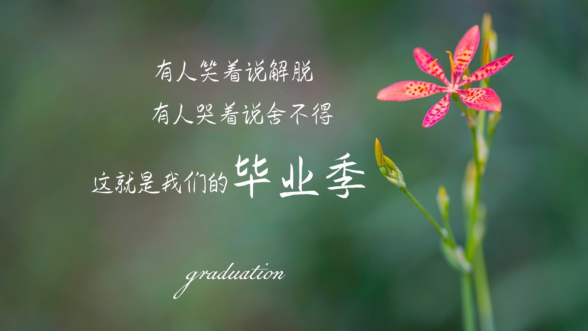 篮球场馆设施智能化管理系统推广,篮球场馆管理制度