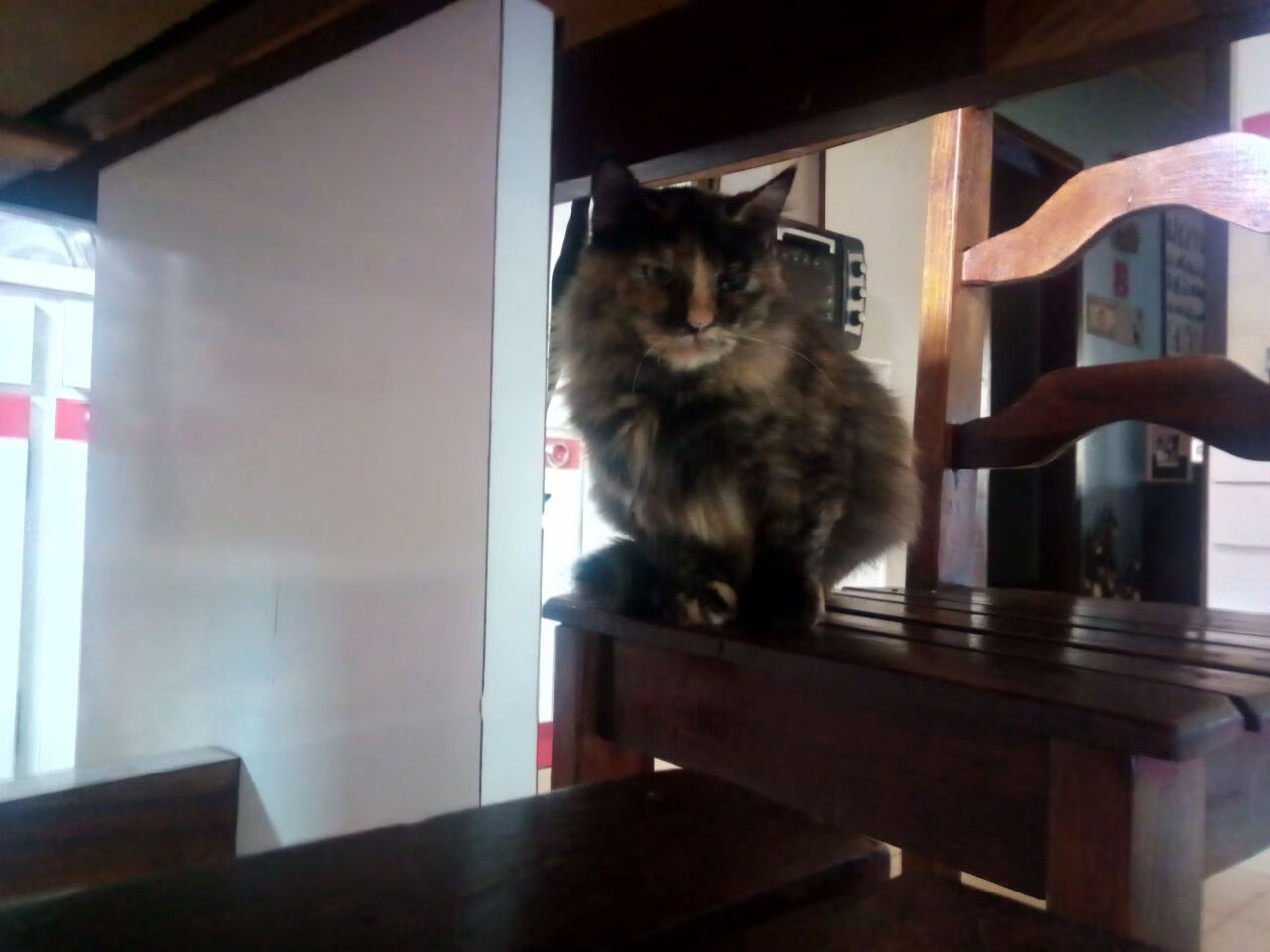 篮球场馆设施智能化管理系统推广,篮球场馆管理制度