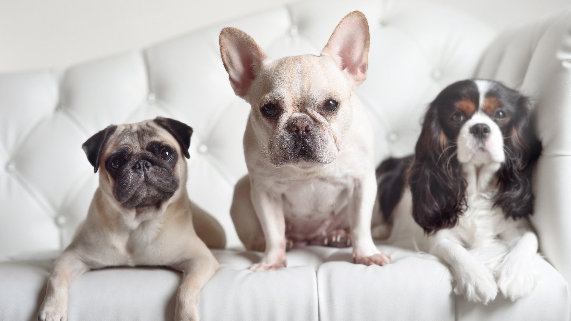 经典赛事回顾：那些难忘的WRC瞬间，wrc赛道