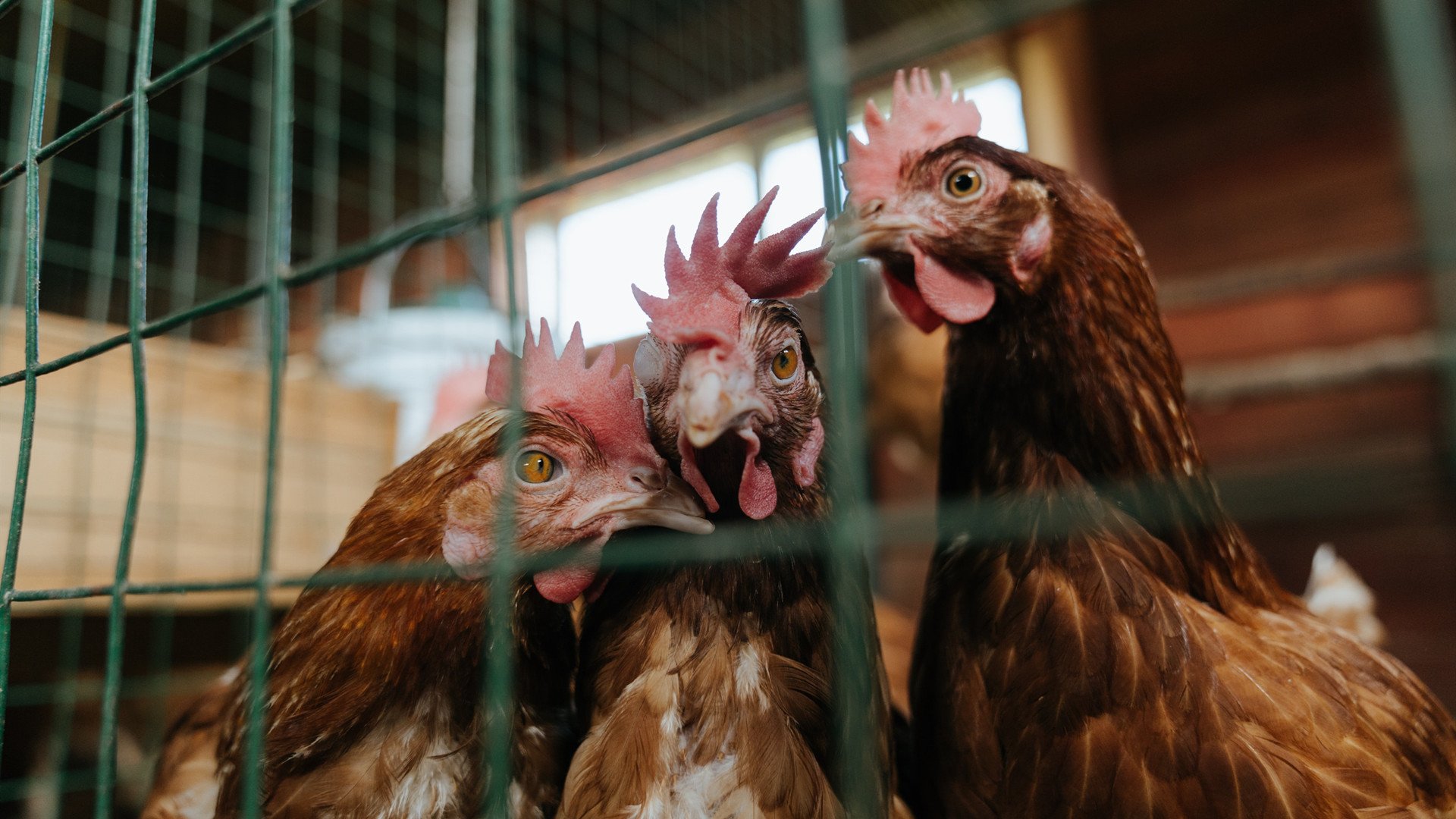 西甲历史回顾:经典比赛瞬间重现,西甲历届冠军及排名