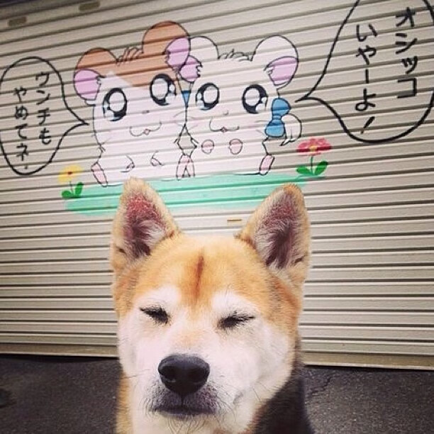 赛事预热:精彩宣传片引燃热情,赛事宣传片文案