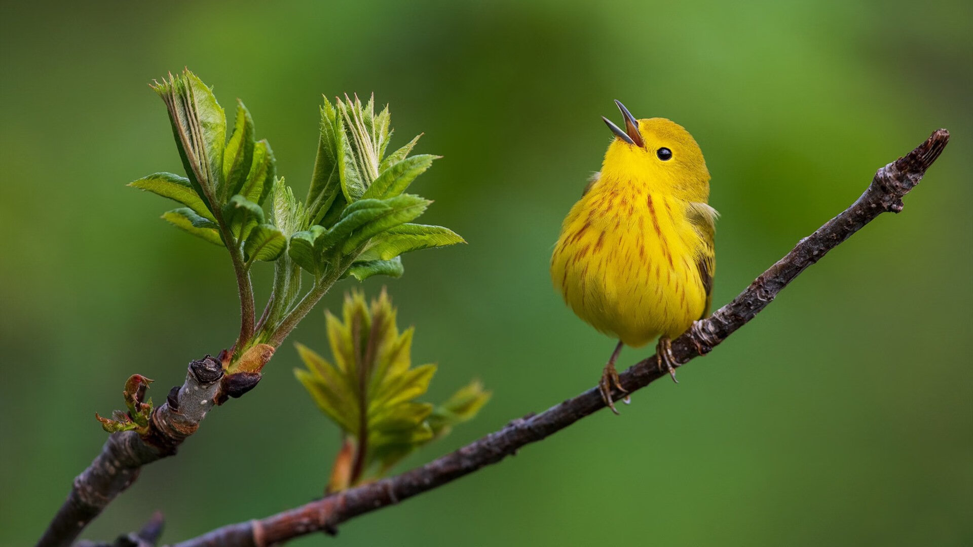 kaiyun官方入口登录-青少年极限运动节，释放青春的无限可能，中国极限运动协会青少年训练营
