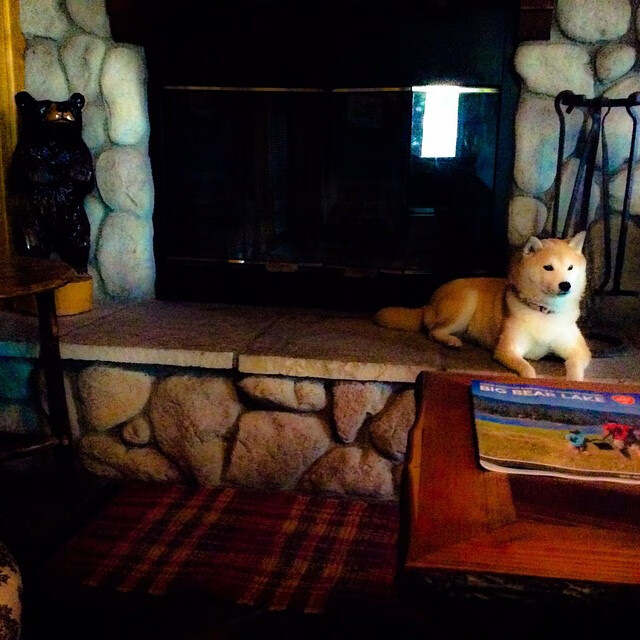 Astralis Talent 代表丹麦参加世界电子竞技锦标赛,丹麦比赛成绩