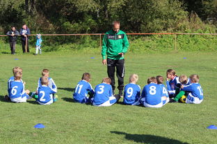 开云平台-中国篮球教练员技术战术创新能力提升路径，篮球教练发展