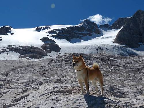 中国篮球联赛球队战术创新分析,篮球联赛战术中文版