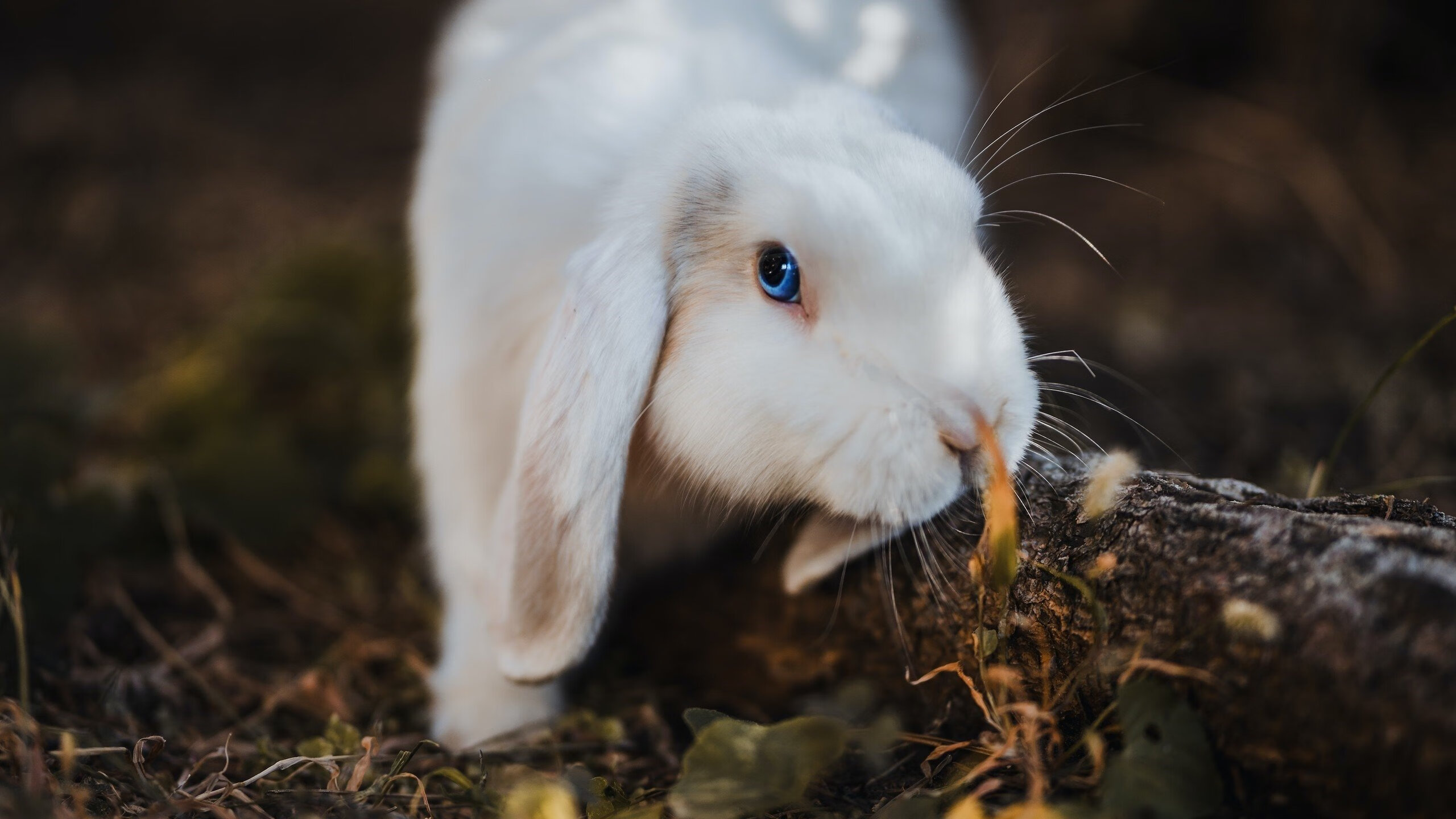 kaiyun网站-CBA球队建立球员数据档案追踪成长，cba 球员数据库