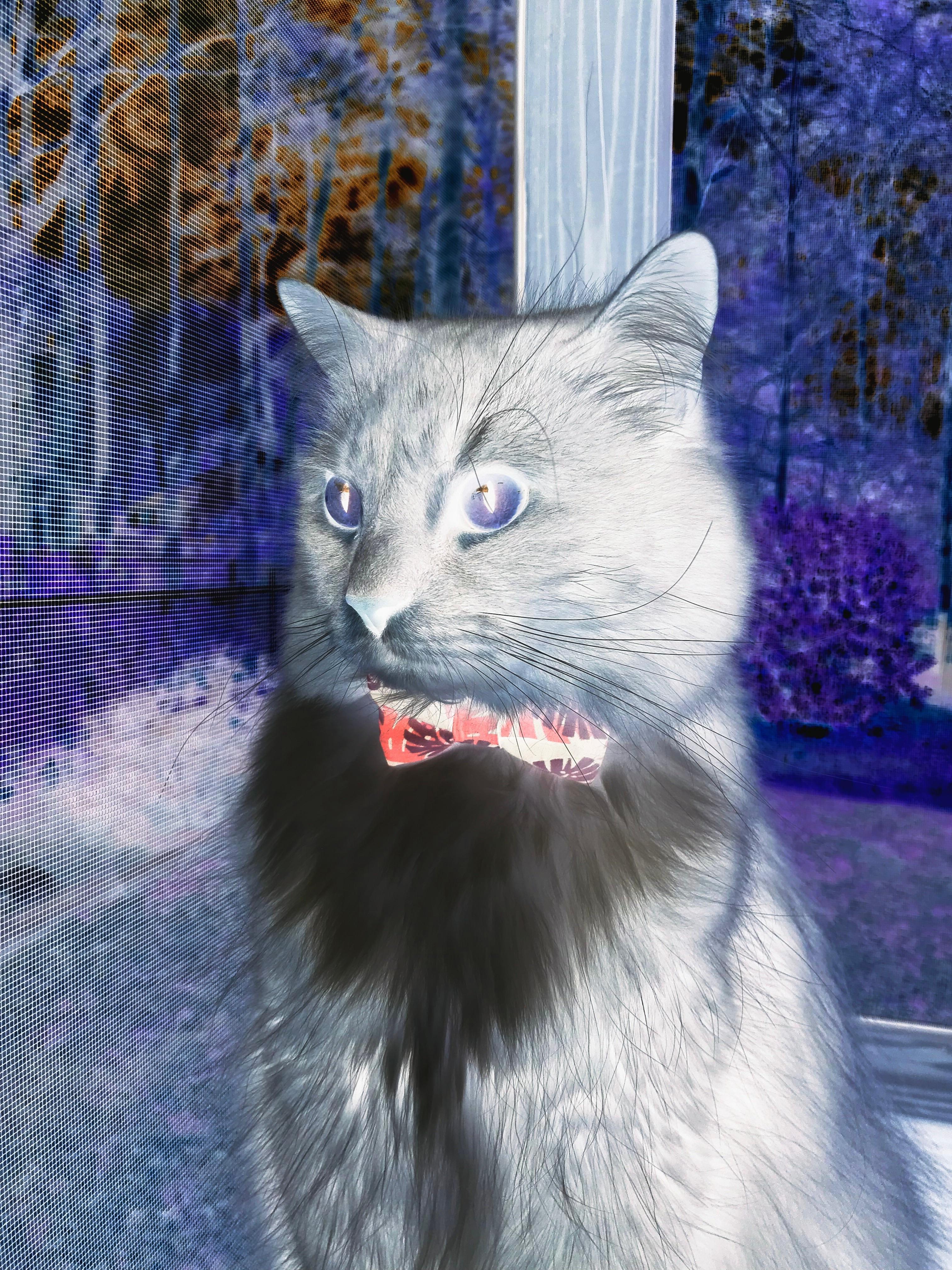 场地条件影响技术发挥,场地条件影响技术发挥的原因