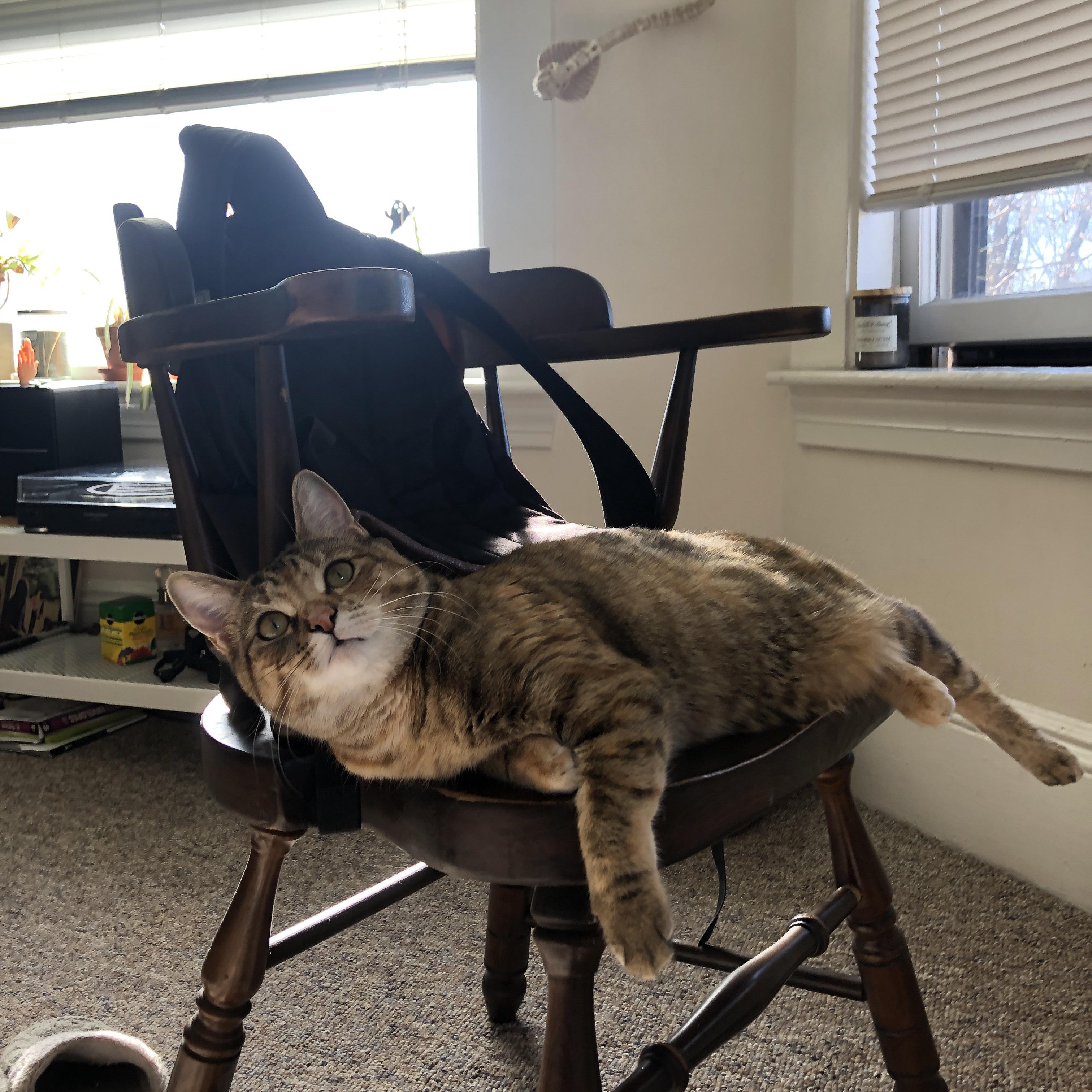 帕金斯蝶泳技术细腻有力,帕奇帕金斯